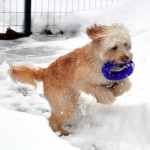 1512470_10152069183375851_738174869_n