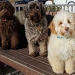 Josee and the sistas! Feb.2016